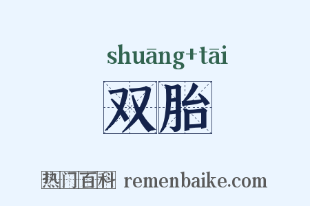双胎是什么意思的图片